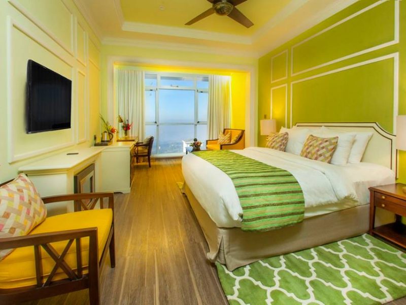 Tropic Green