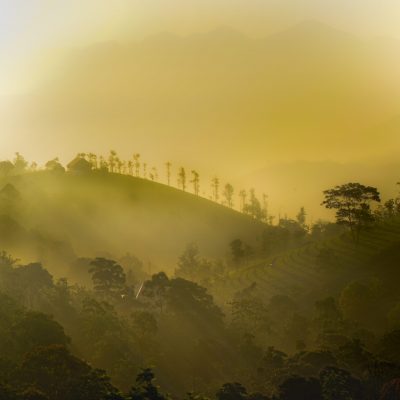 Vagamon