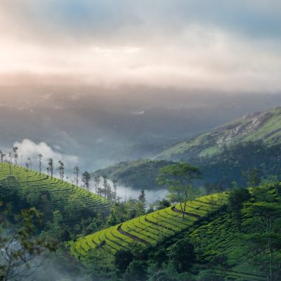 Munnar