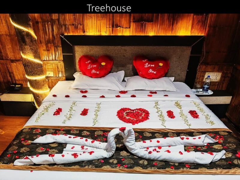 TREE HOUSE