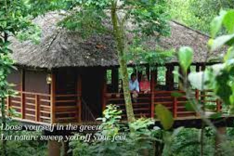 CARMELIA HAVEN PLANTATION  RESORT AND SPAS