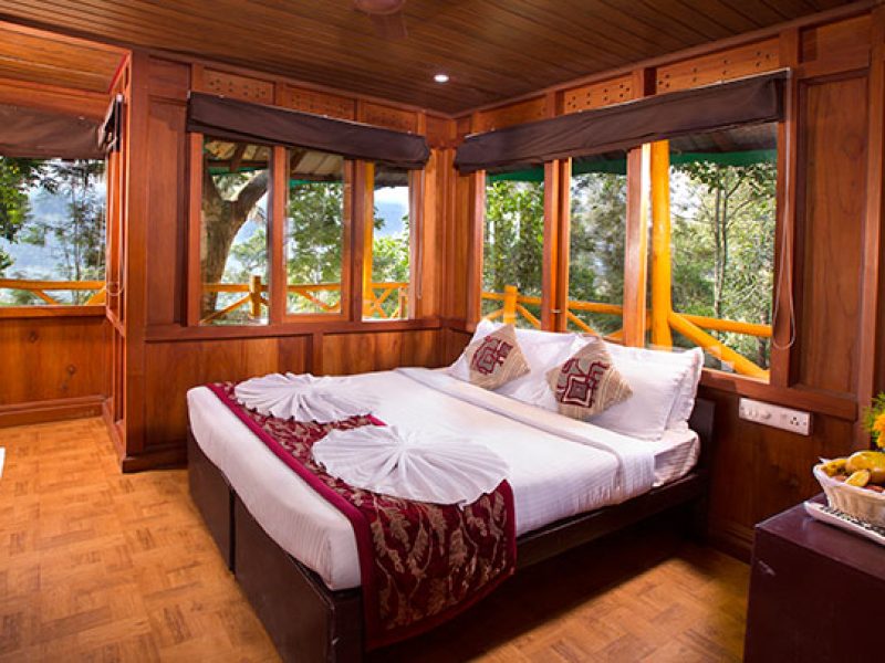 TREE HOUSE