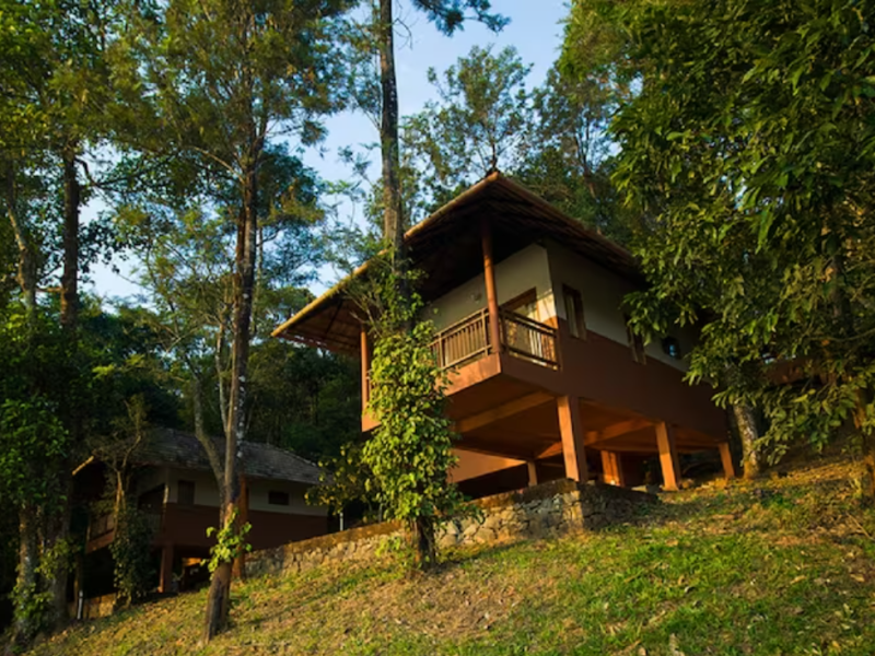 DELUXE Cottage