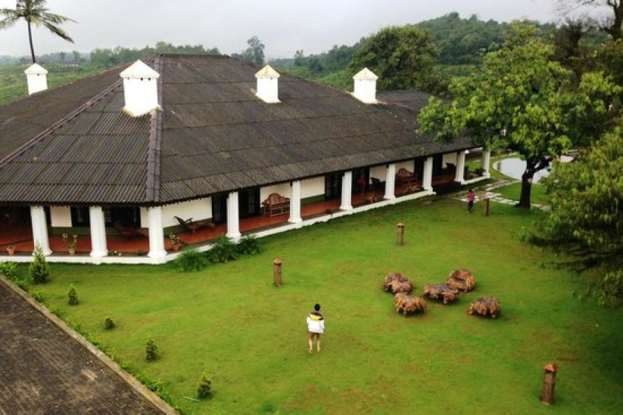 PARYSONS PLANTATION