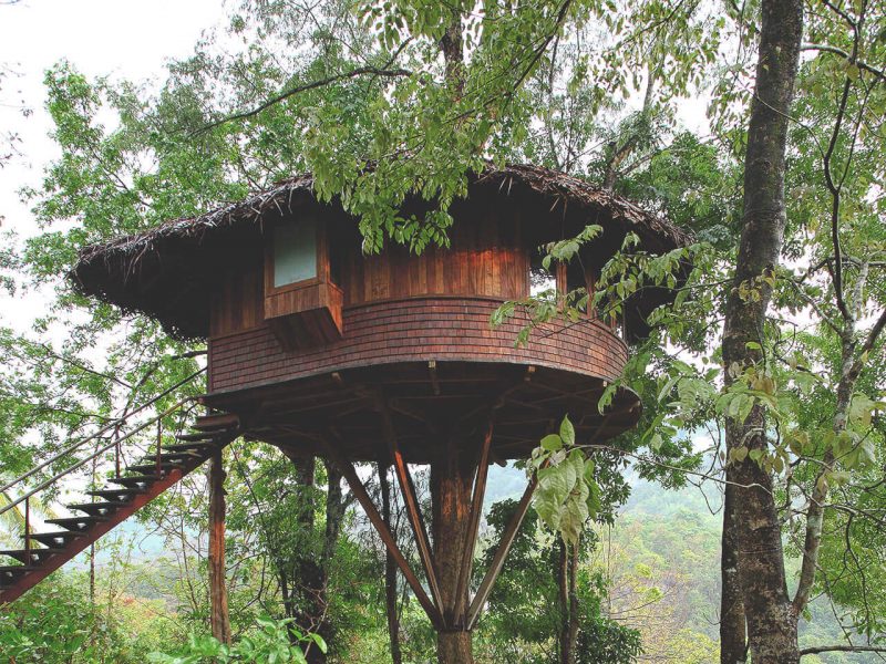 TREE HOUSE